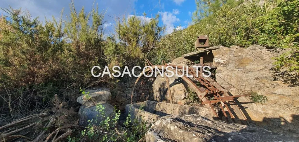 Jardin - Rustic Plots with Cistern in Lucena del Cid