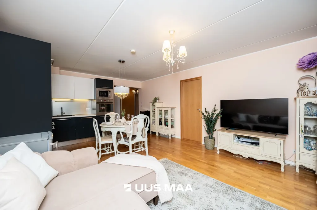 Séjour - Spacious Apartment with Sauna in Kadriorg