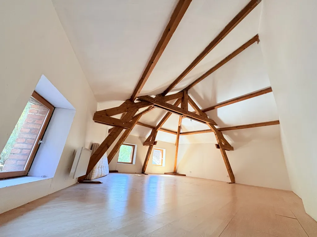 Toad - Charming House with Open Plan in Châtelguyon