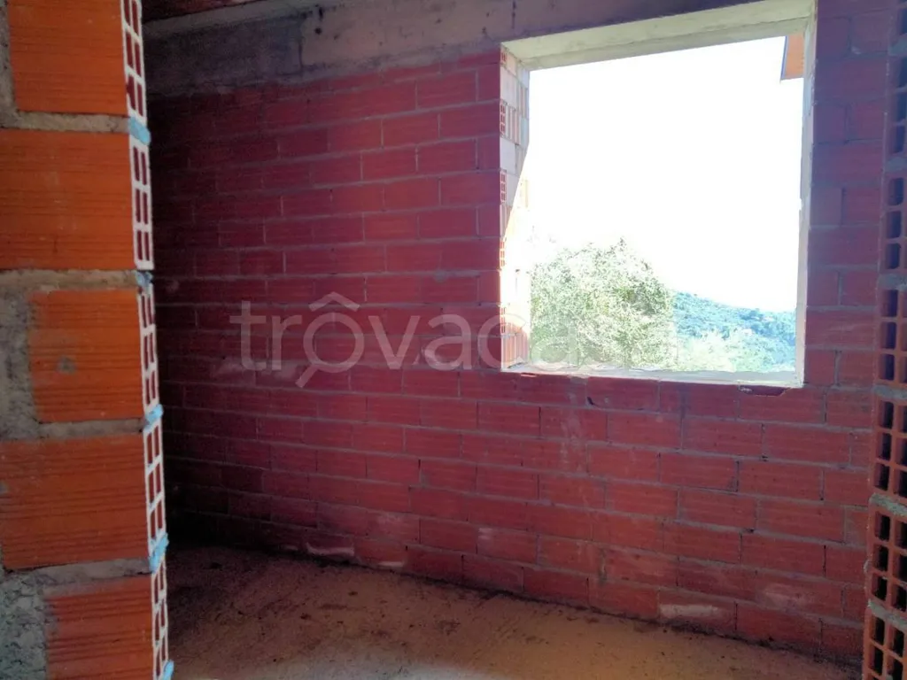 Toad - Rustic Villa with Olive Grove in Diano San Pietro