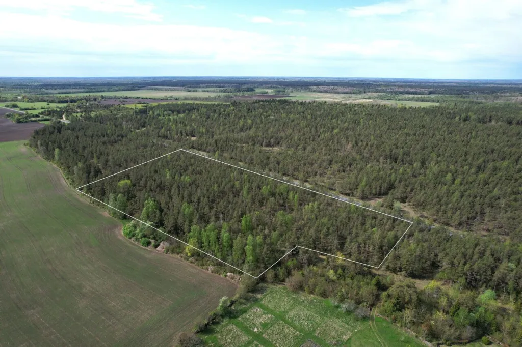 Vue aérienne - Forested Land with Access Road in Väike-Võhma, Saaremaa