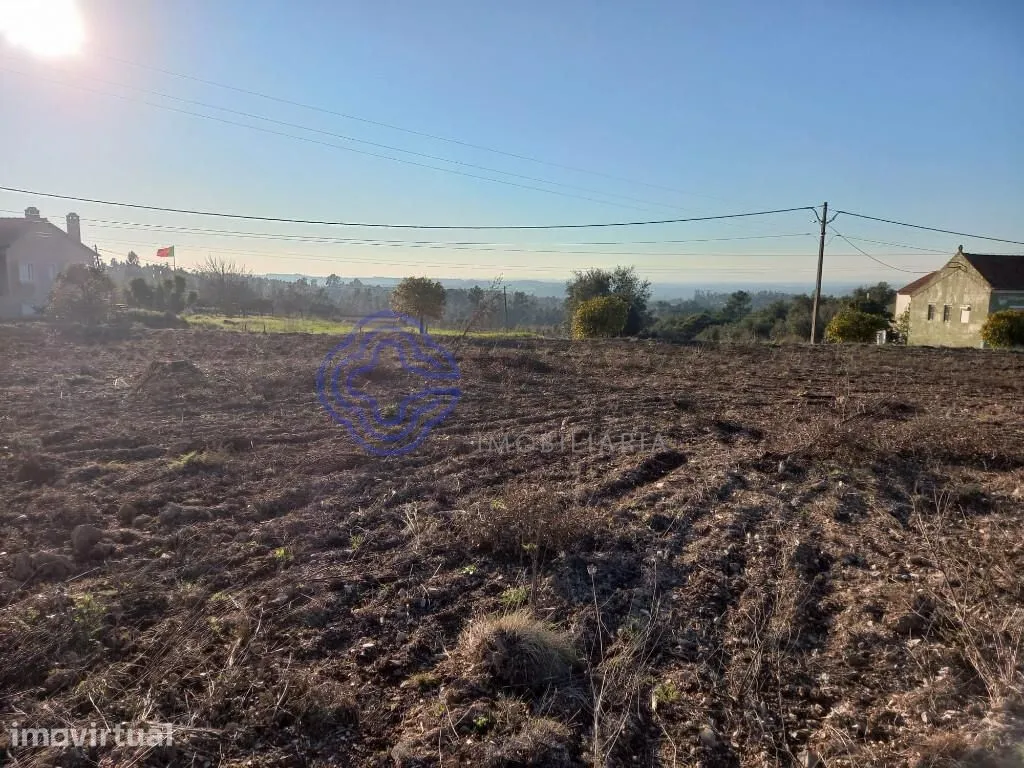 Jardin - Construction Plot for 4 Homes near Tomar