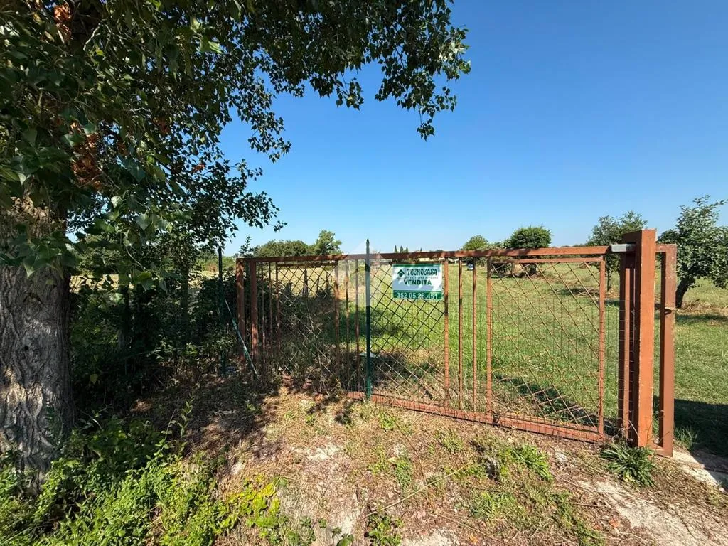 Giardino - Rustico with Large Flat Land in Anagni