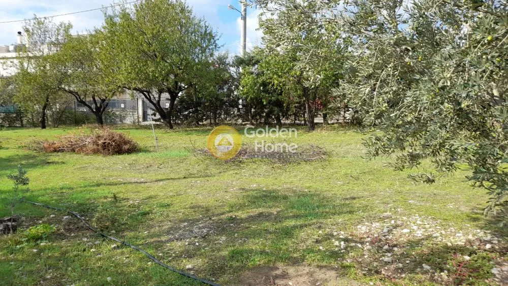 Jardin - Modern Villa with Garden in Menidi, Athens