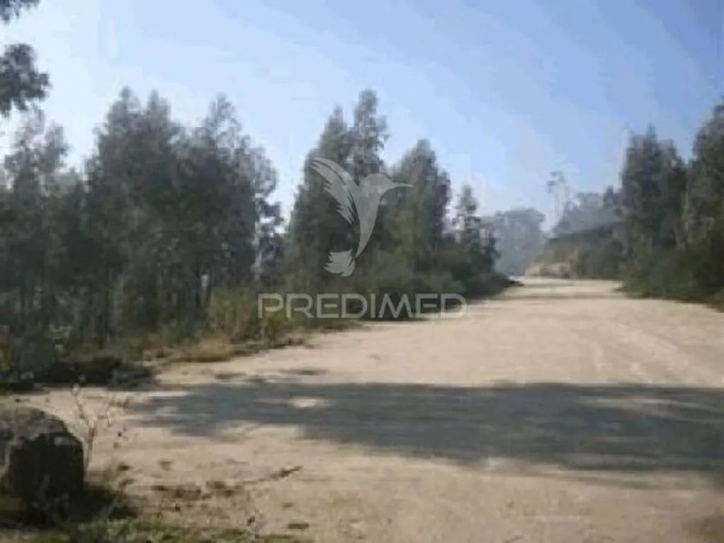 Jardin - Construction Plot with Forest Protection in Seroa