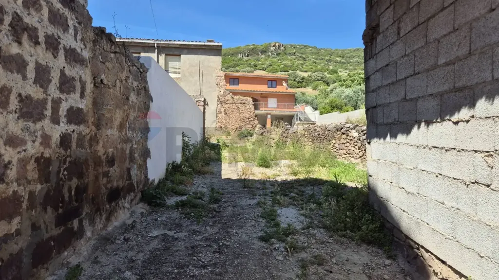 Aed - Rustic House with Olive Grove in Allai