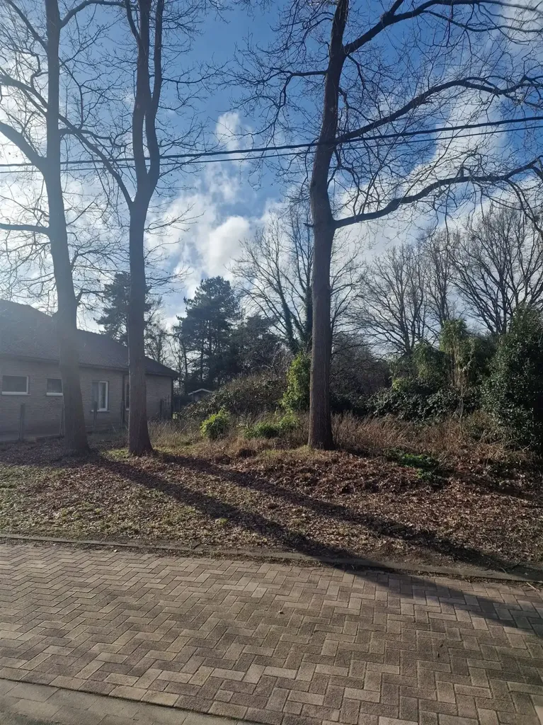 Esterno - Buildable Plot with Green Setting in Keerbergen