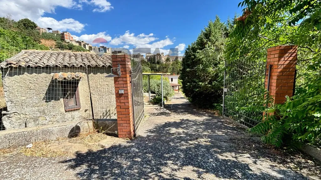 Aed - Villa with Olive Grove in Alimena