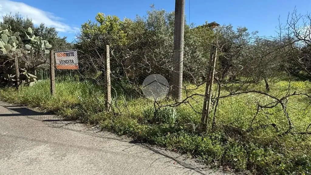 Jardin - Rustic House with Large Garden in Corigliano-Rossano