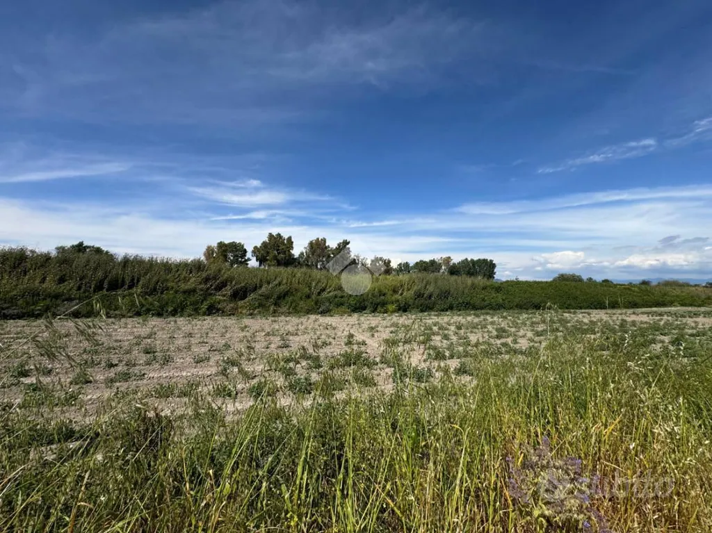 Jardin - Agricultural Land on Casaluce Highway