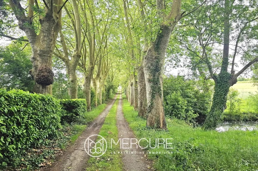 Exterior - Rural Property with Pool in Lauragais