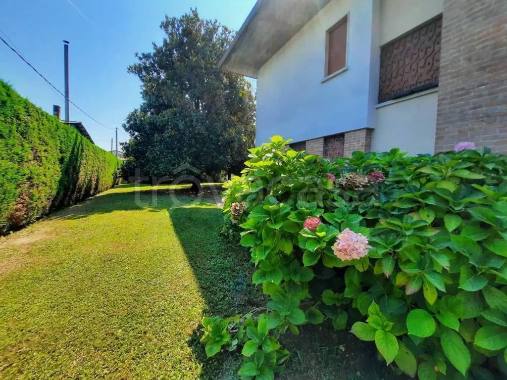 Aed - Spacious Villa with Garden in Piombino Dese