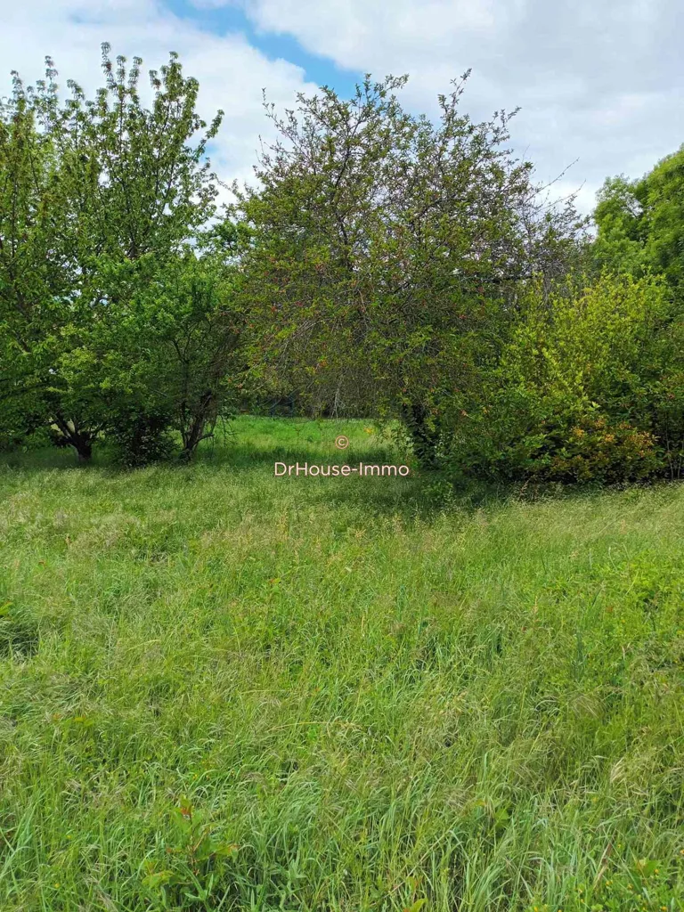 Jardin - Maison avec Annexe et Jardin à Verfeil