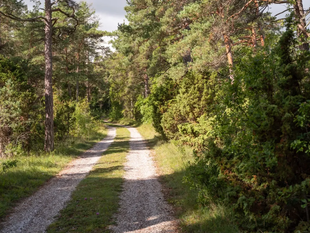 Extérieur - Large Plot with Pre-Approval in Gotland