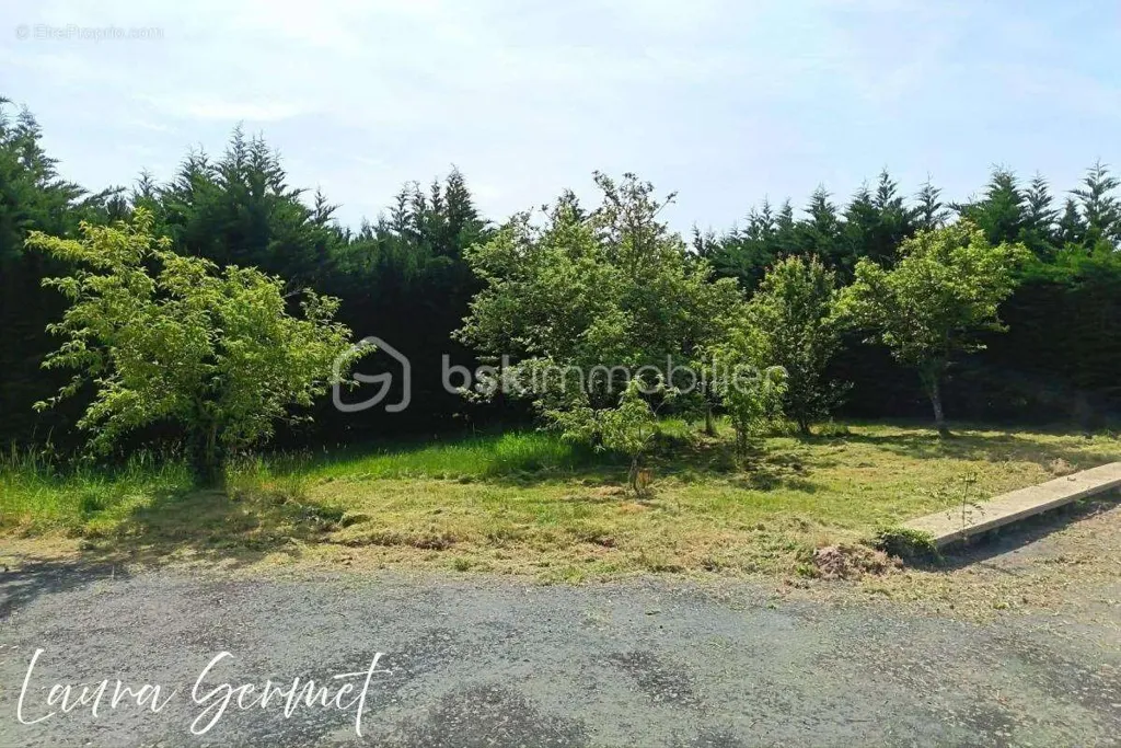 Jardin - Maisonnette à Rénover avec Terrain à Anjouin
