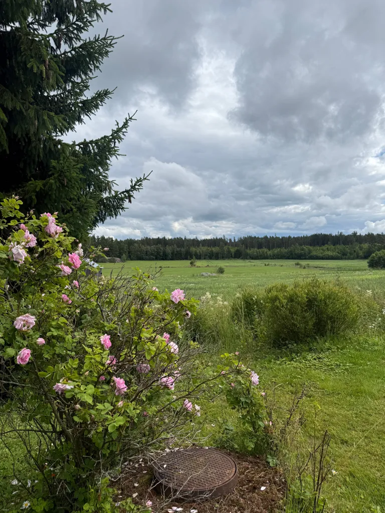 Jardin - Detached House with Garden in Rauma