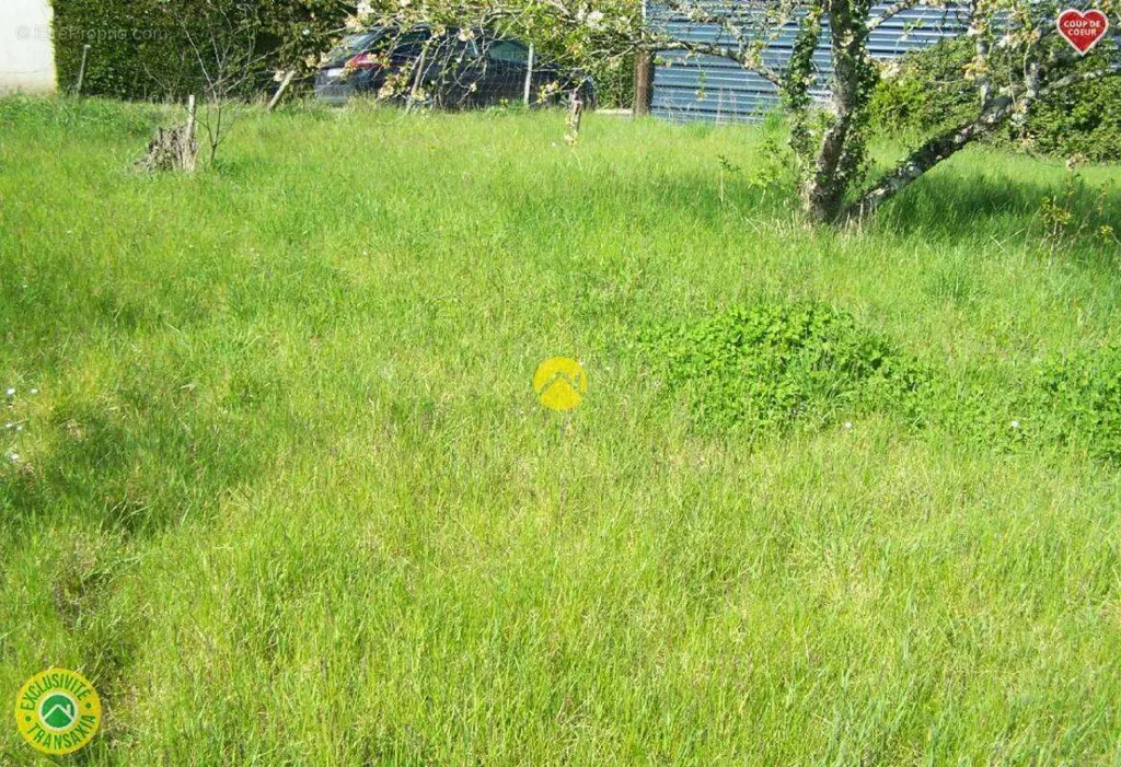 Jardín - Leisure Land with Orchard in Saint Florent