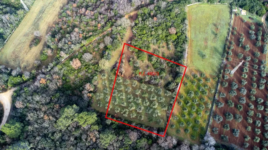 Aerial - Olive Grove Land in Fondole, Istria