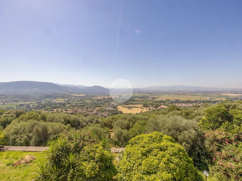Jardin - Versatile Villa with Olive Grove in Guidonia Montecelio