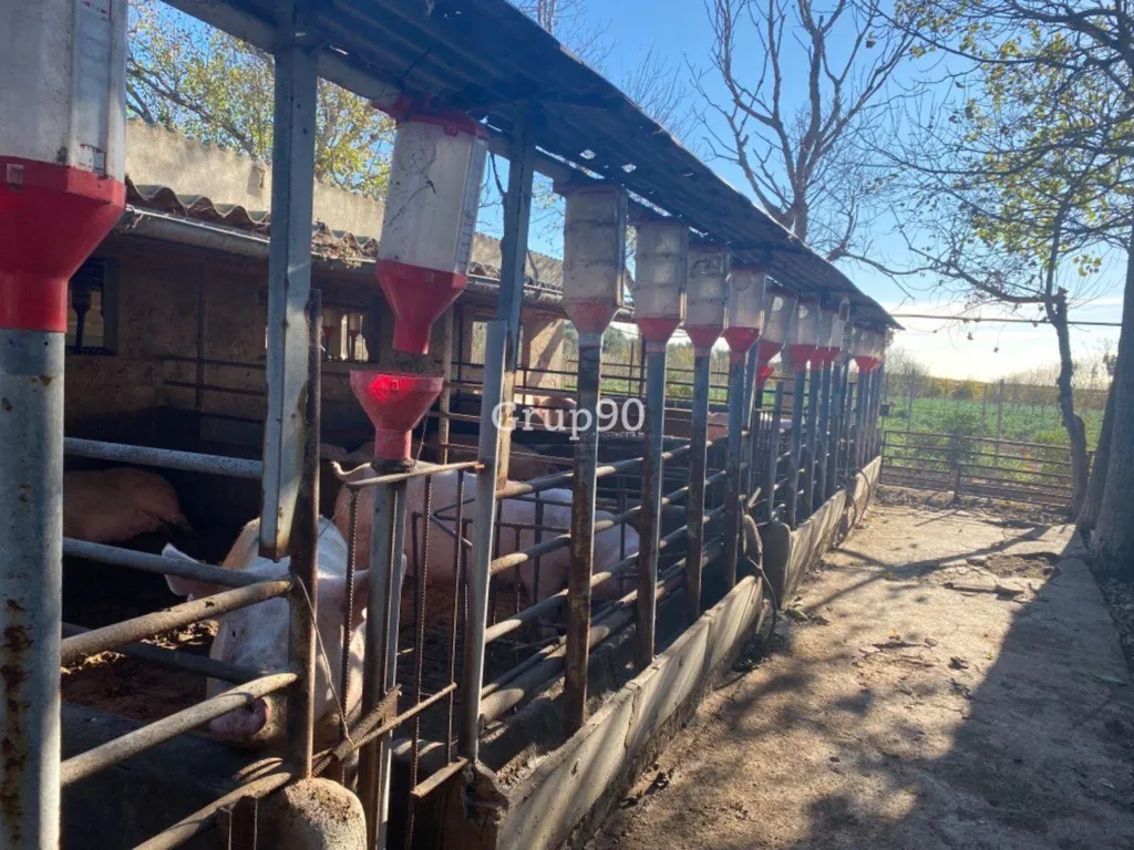 Jardin - Pig Farm with Cultivation in Cabanes