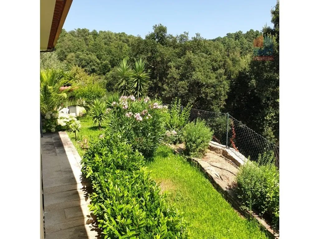 Aed - Luxury House with Olive Grove in Vila Real