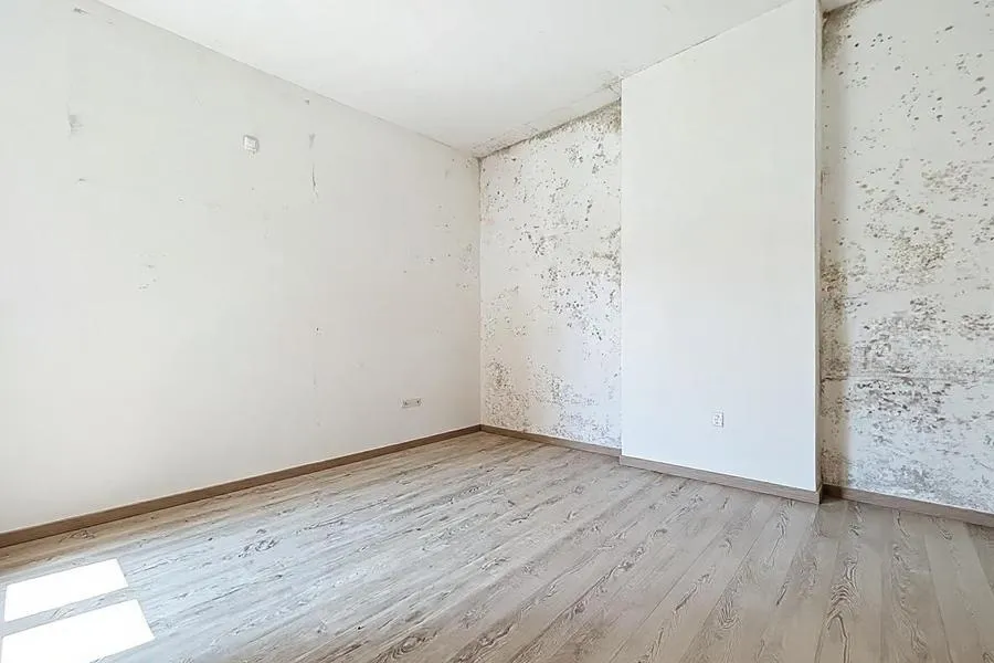 Toad - 3-Fronted House to Renovate in Gilly