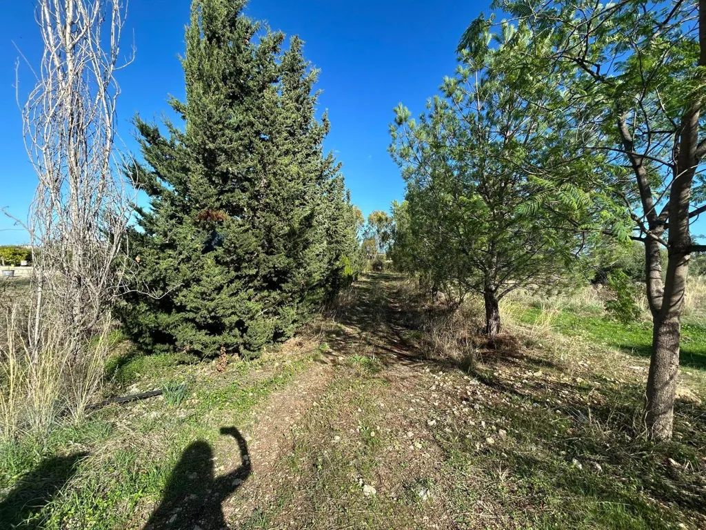 Jardin - Agricultural Land near Priolo Gargallo