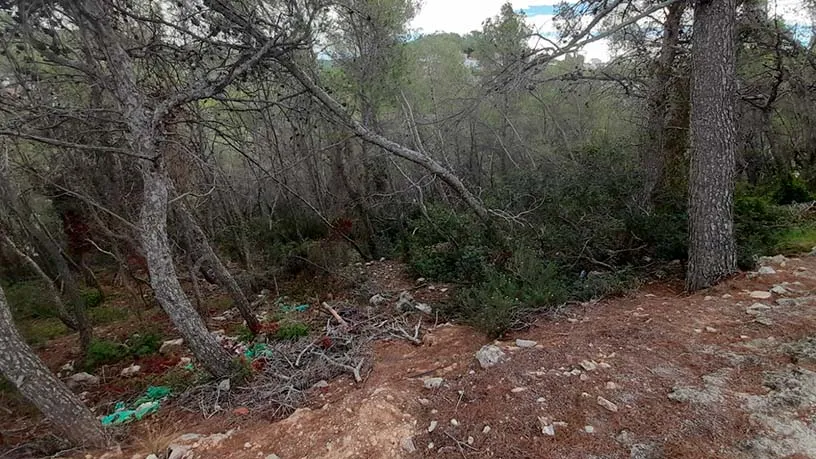 Aed - Urban Plot for Development in Sant Pere de Ribes