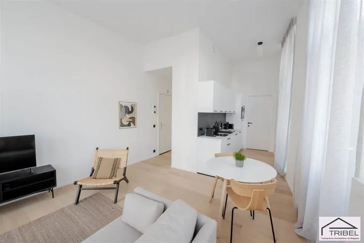 Séjour - Appartement Central à Bruxelles
