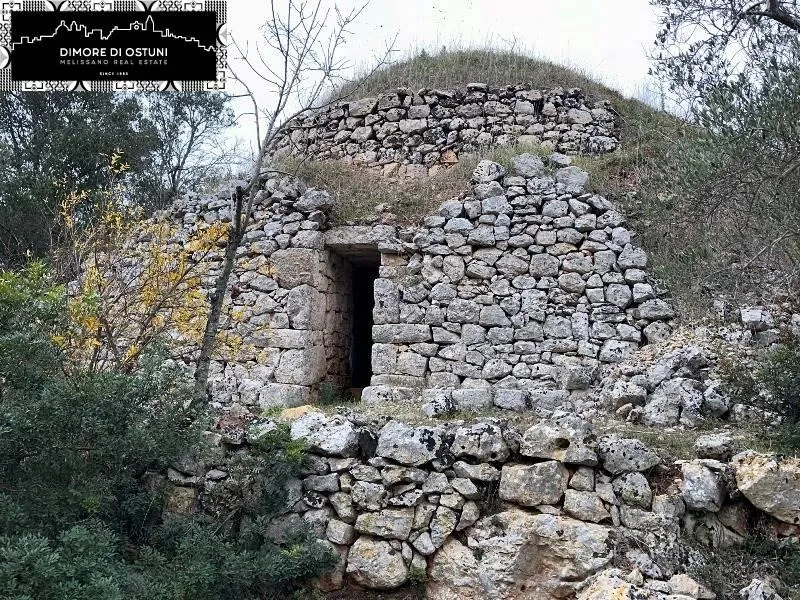 Exterior - Saracen Trullo with Olive Grove in Ostuni