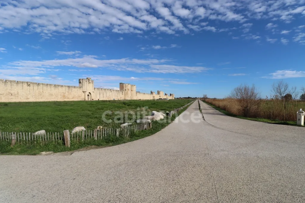 Jardin - Restaurant Bar Hôtel avec 20 Chambres près d'Aigues-Mortes