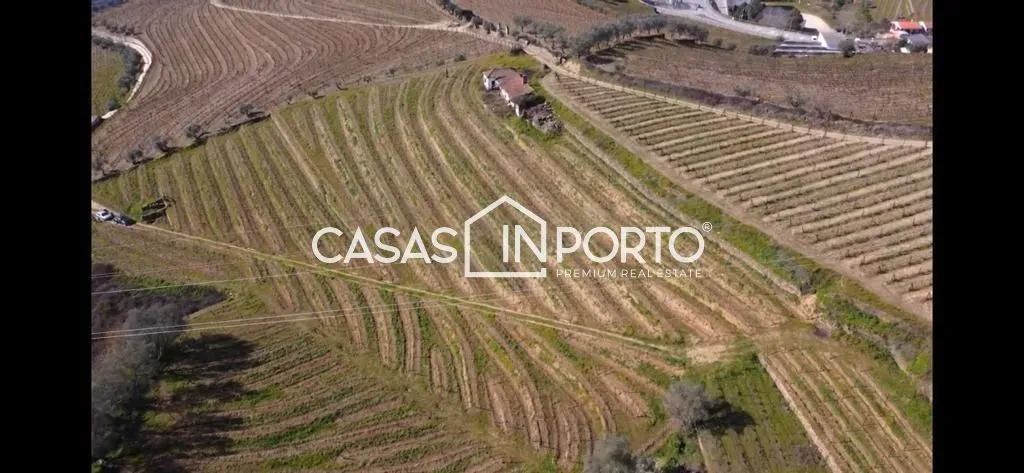 Õhuvaade - Luxury Farmhouse with Vineyard in Peso da Régua