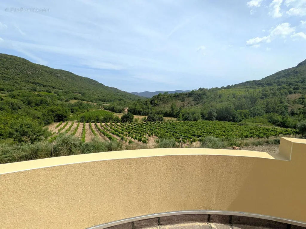 Terrasse - Villa Méditerranéenne avec Vue Panoramique à Taussac-La-Billière