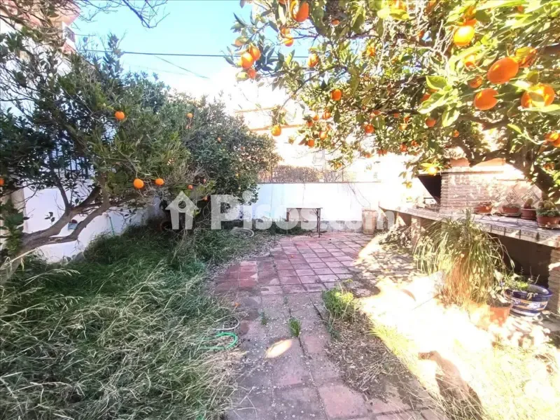 Jardin - Rustic Finca with Potential in Carretera Picena