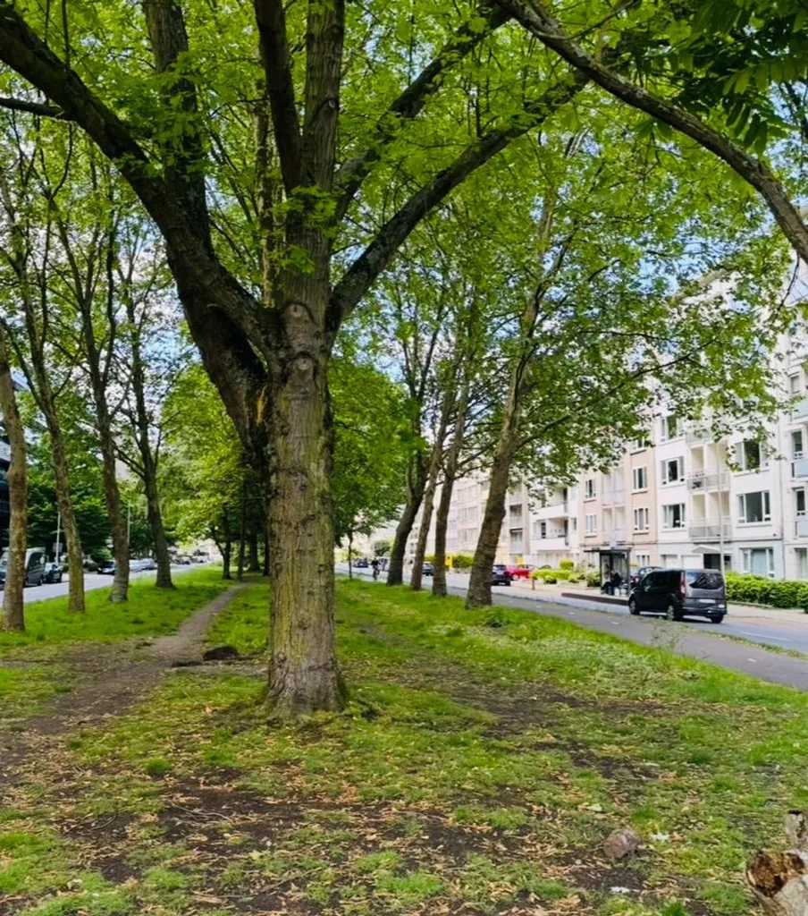 Appartement Rénové avec Terrasse à Anvers