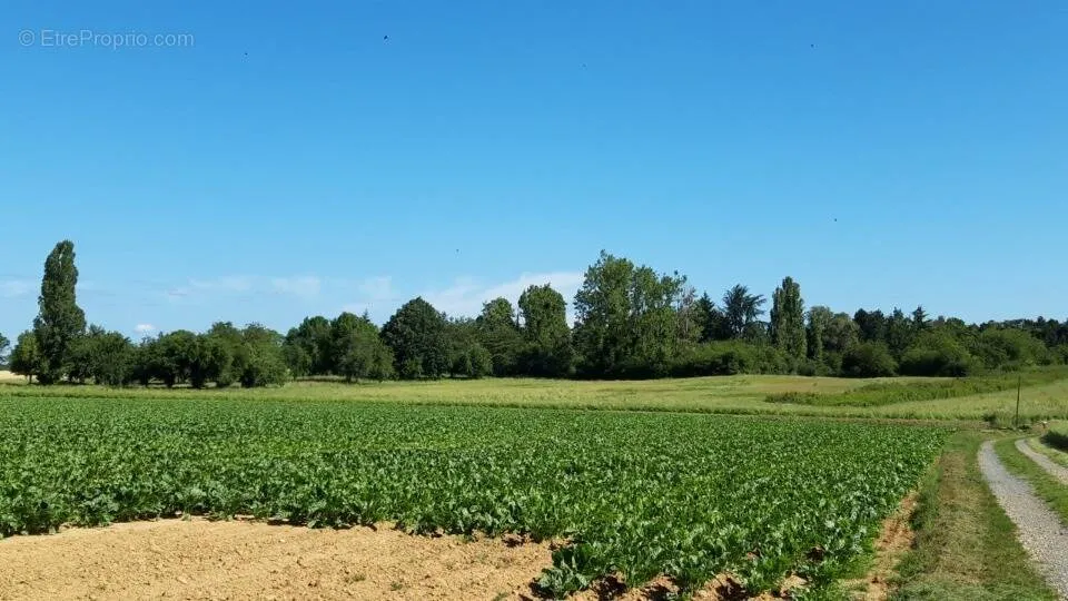 Aed - Building Plot with Garden in Boullay-Les-Troux