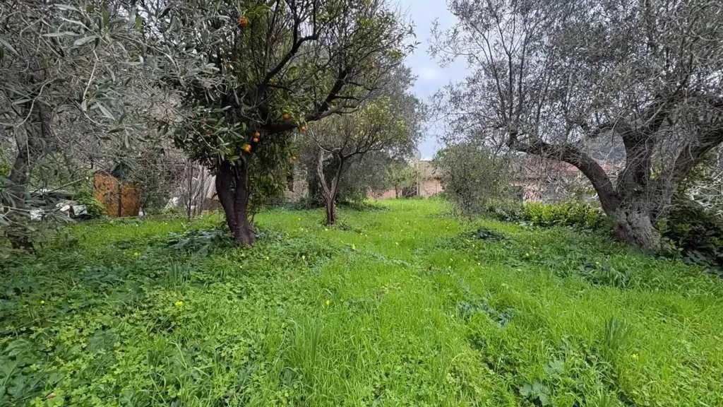 Aed - Independent House with Garden in Messina