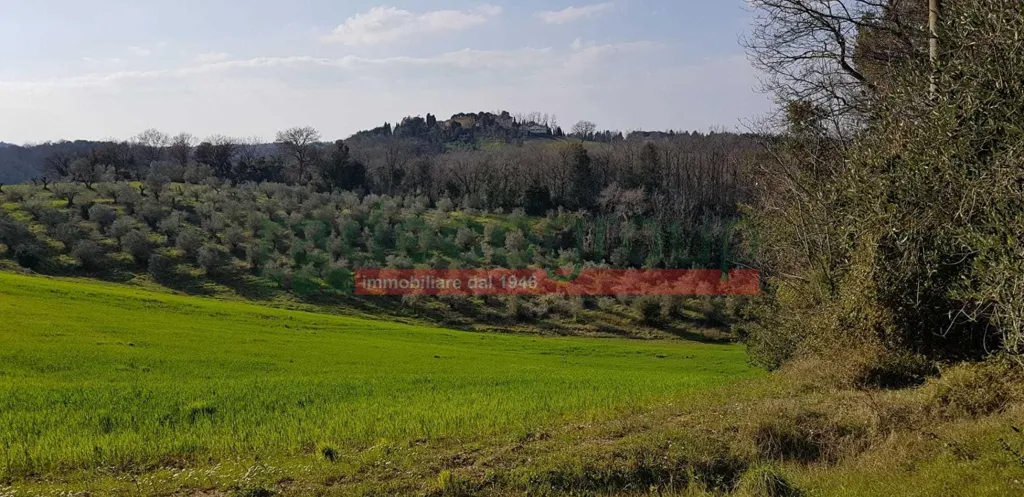 Aed - Tuscan Villa with Garden in Collesalvetti