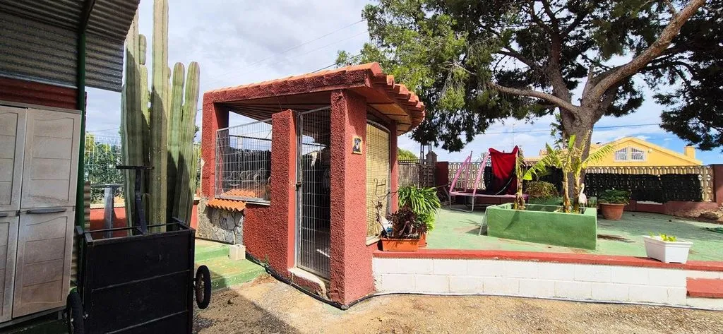 Jardin - Luxury Villa with Pool in Elche, Valencia