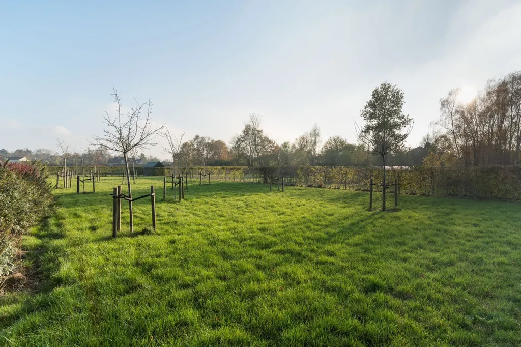 land_plot