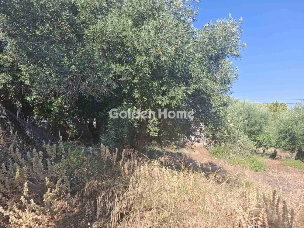 Aed - Plot with Sea View in Salamina - Xeno