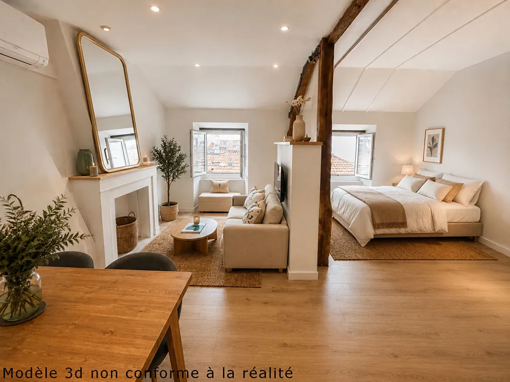 Elutuba - Studio with Renovation Potential in Roanne