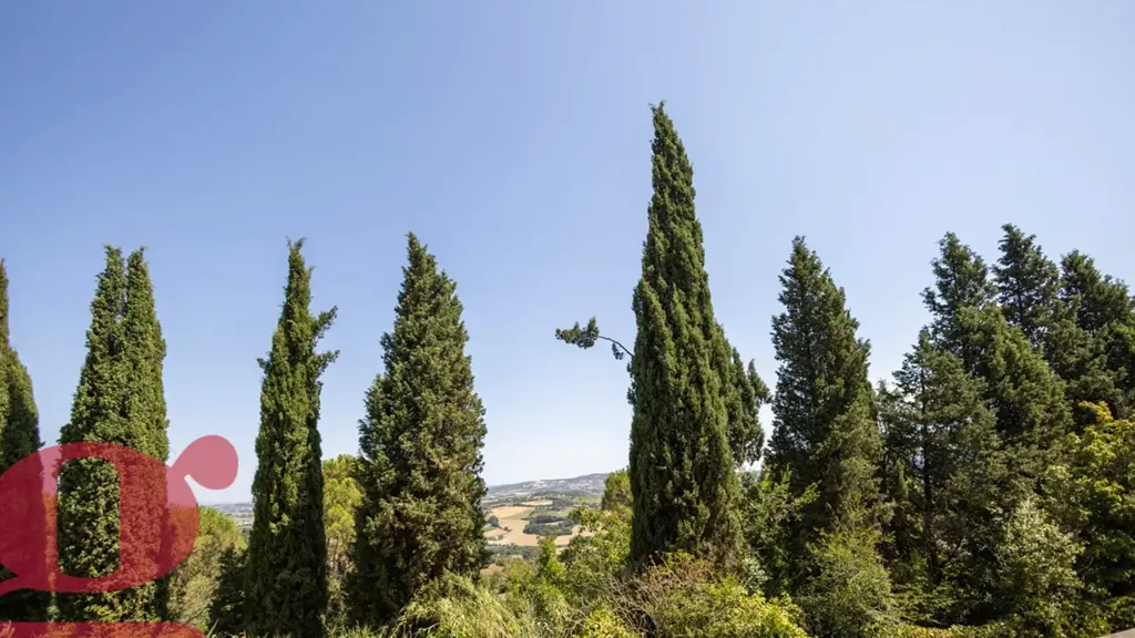Jardin - Historic Two-Bedroom Apartment in Todi
