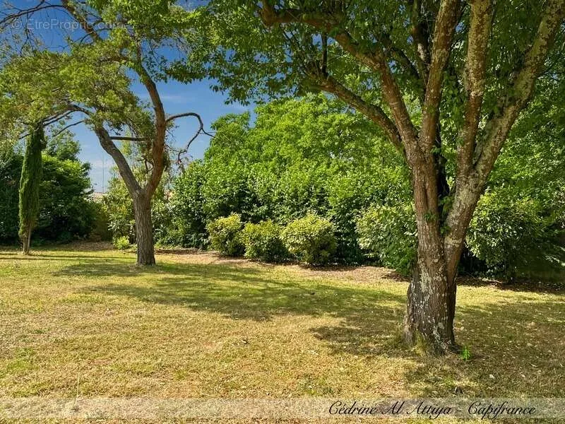 Jardin - Propriété de Caractère avec Piscine à Saint-Xandre