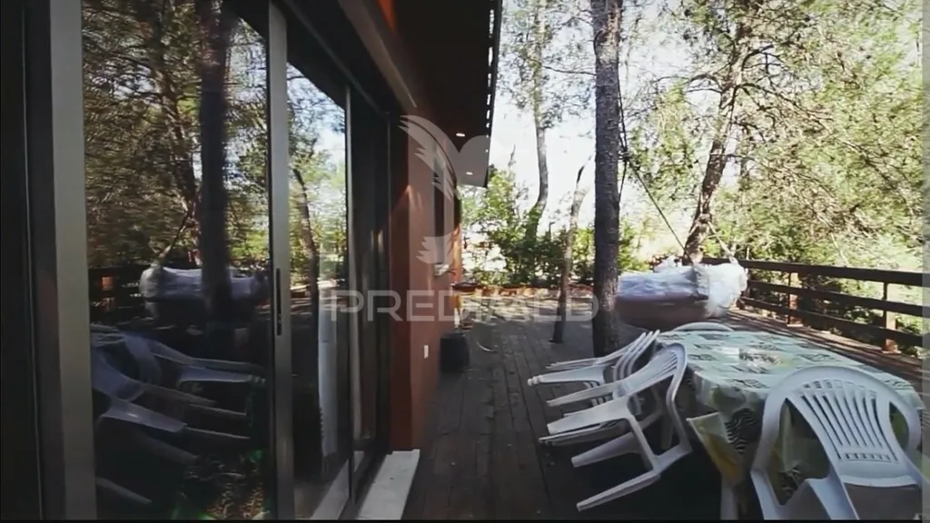 Terrasse - Quinta with Olive Grove in Torre do Bispo