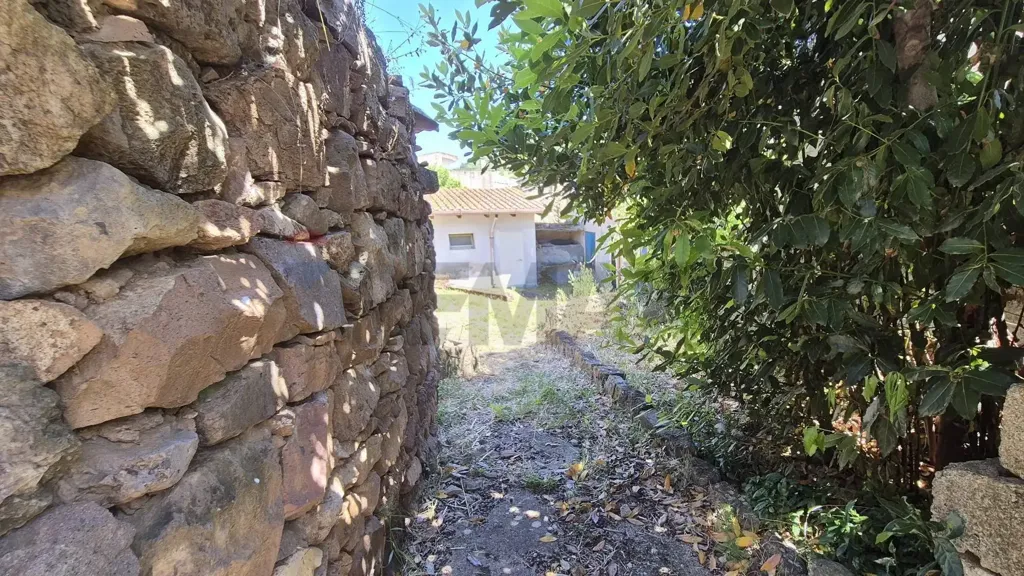 Aed - Rustic House with Olive Grove in Allai