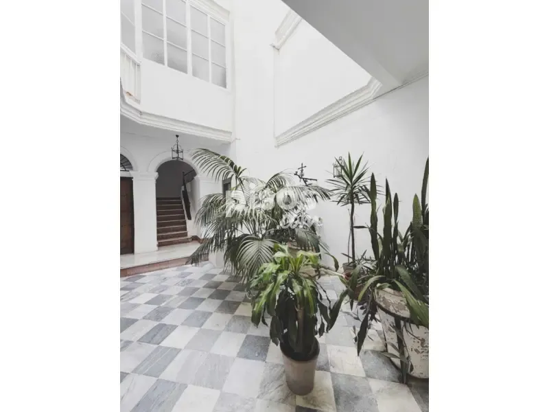 Jardin - Historic Flat with Balcony in Plaza España