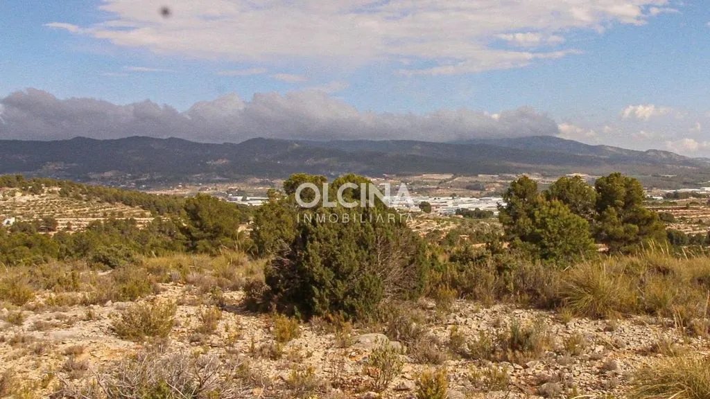 Exclusive Farmhouse in Ibi with Natural Setting