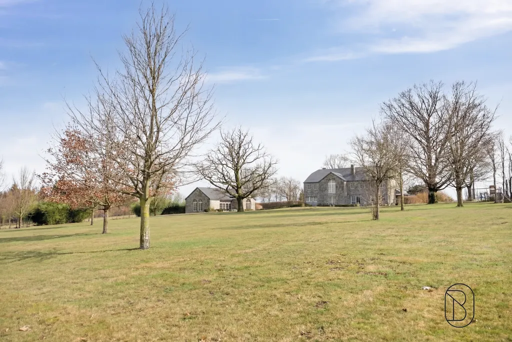 Garden - Luxury House with Pool in Sainte-Ode Tillet