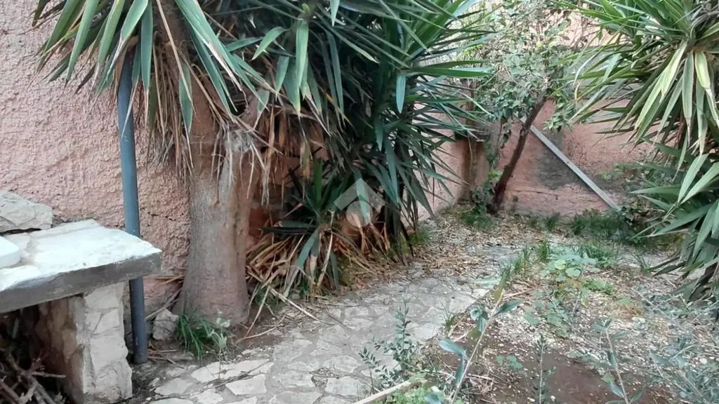 Aed - Three-Bedroom Apartment with Garden in Ladispoli